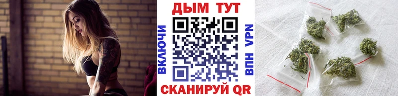 Галлюциногенные грибы Зубцов