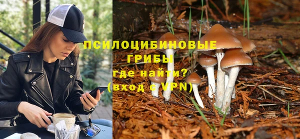 мдпв Нефтегорск