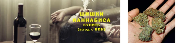 шишки Болохово