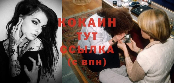 дурь Вяземский