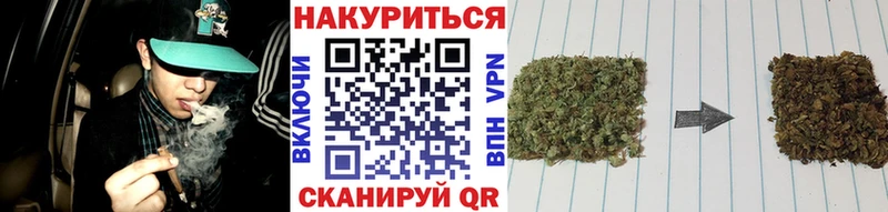 наркотики  Зубцов  Конопля семена 